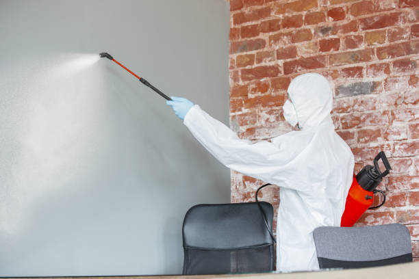 Best Comprehensive Air Testing for Mold Contaminants  in Alpharetta, GA