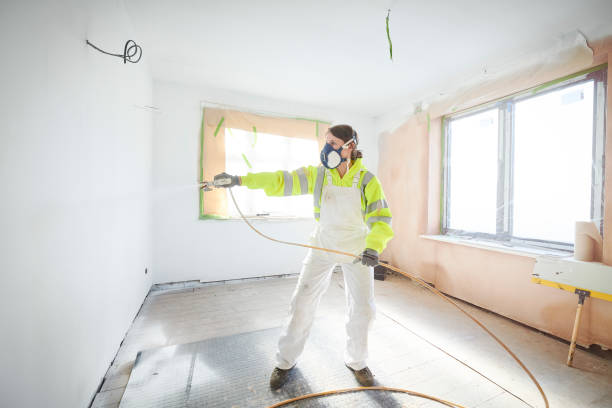 Best Mold Odor Removal Services  in Alpharetta, GA
