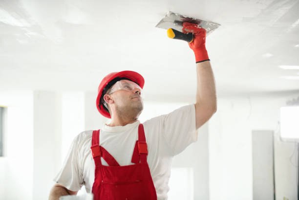 Best Commercial Mold Inspection  in Alpharetta, GA