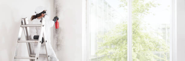 Best HVAC Mold Inspection and Cleaning  in Alpharetta, GA