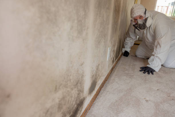 Best Dehumidification Services  in Alpharetta, GA
